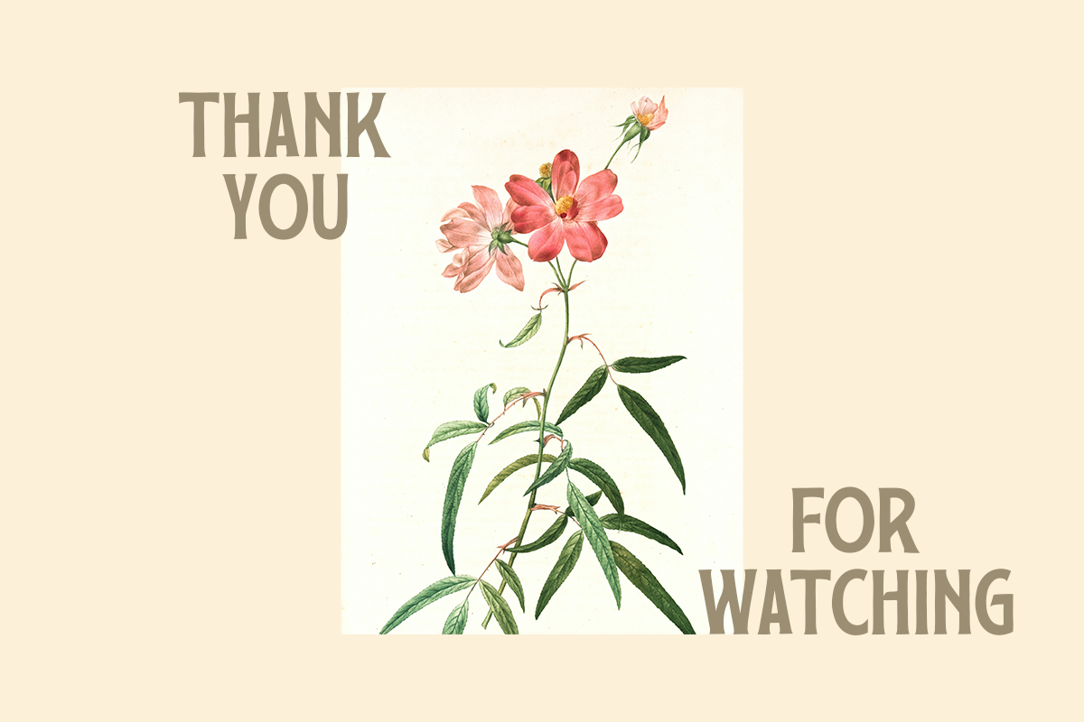 Shade A Modern Display Font - Image 7