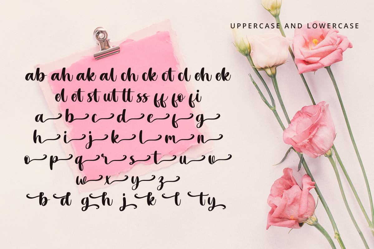 Sweetsoul A Modern Script Font - Image 8