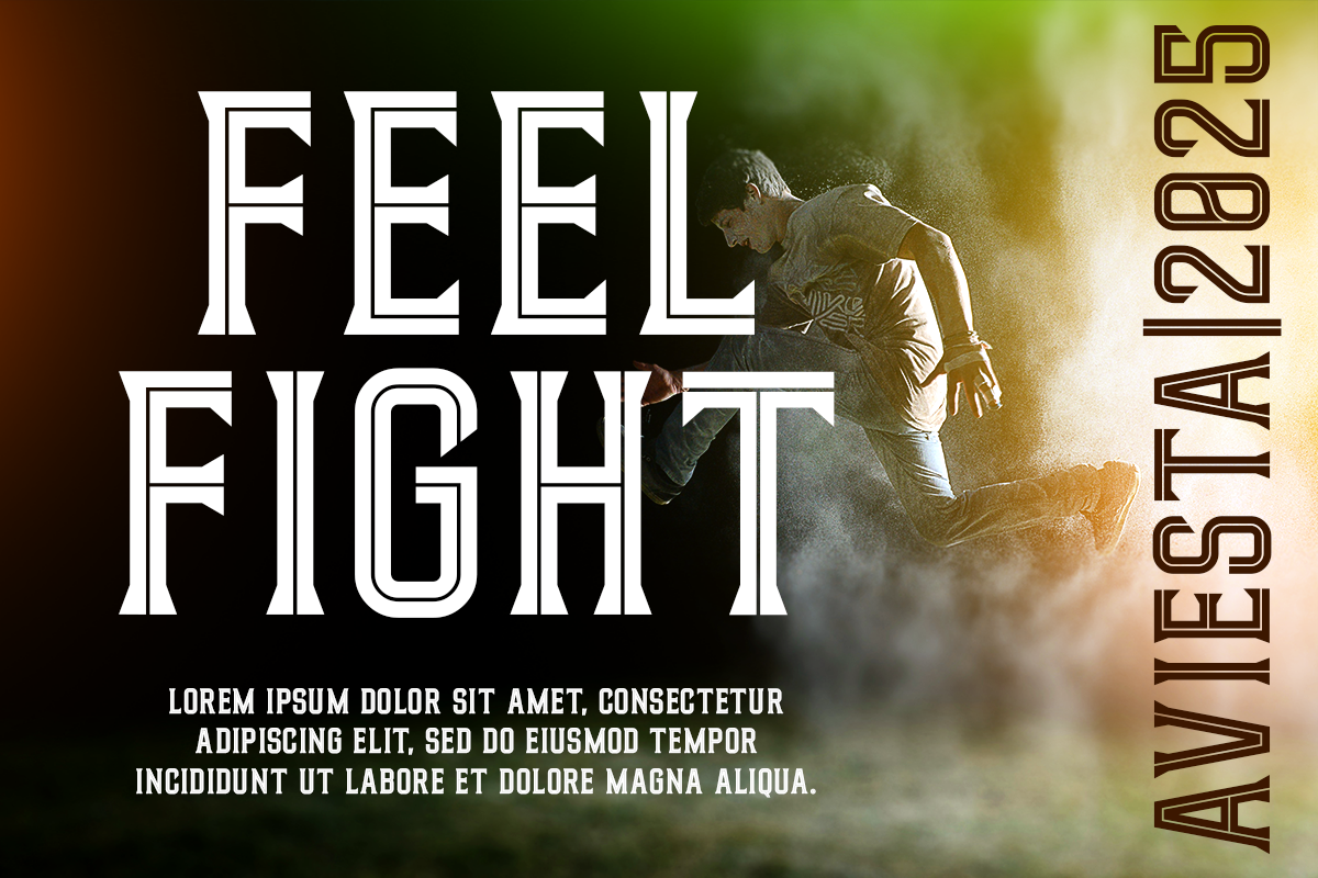 Aviesta A Modern Display Serif Font - Image 3