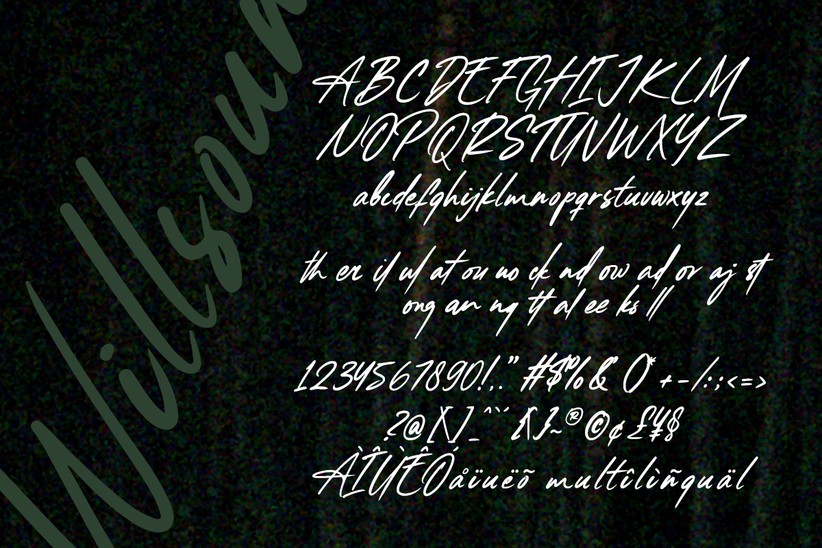 Willsound A Modern Handwritten Font - Image 6