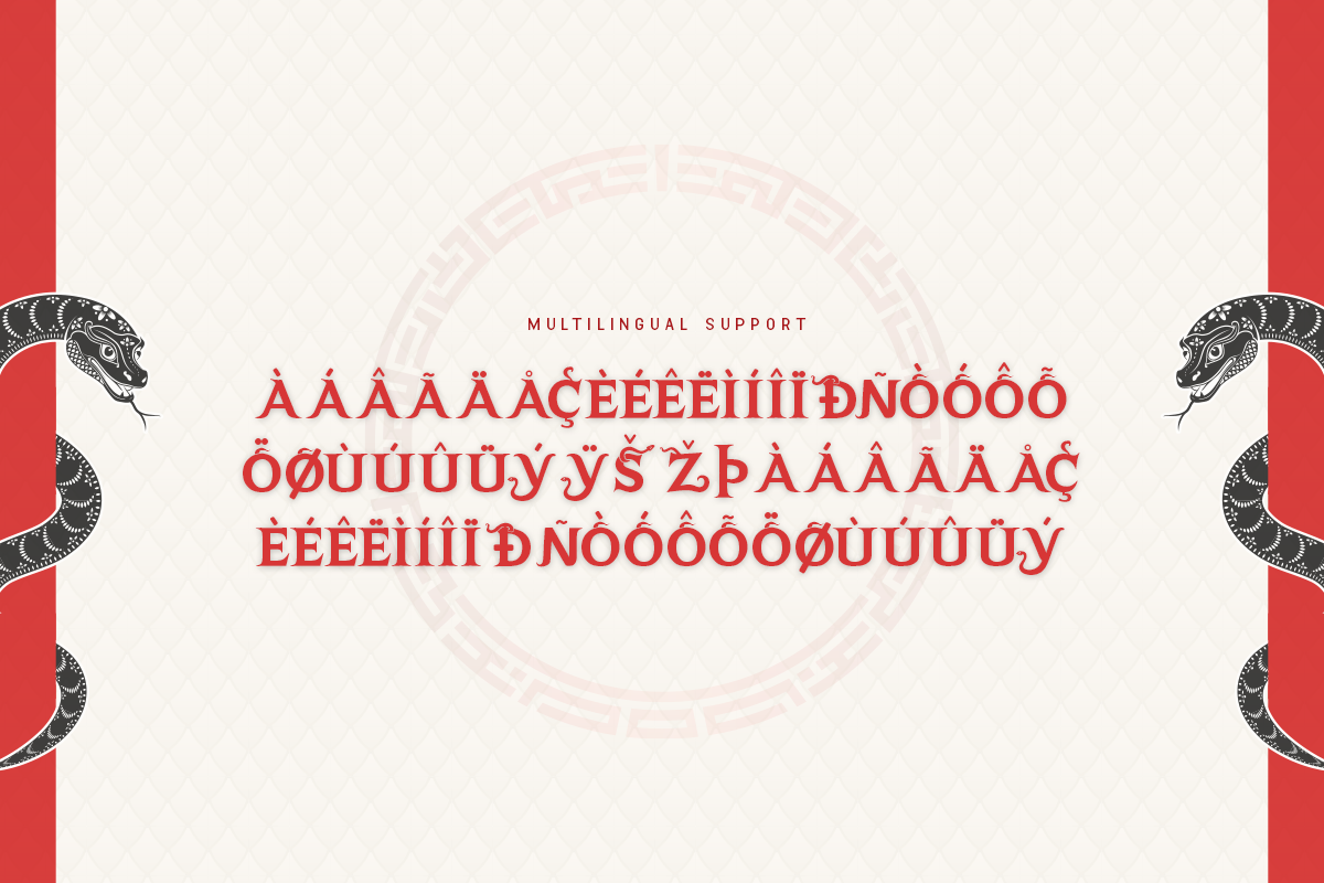 Snake Coil A Modern Serif Chinese Font - Image 6