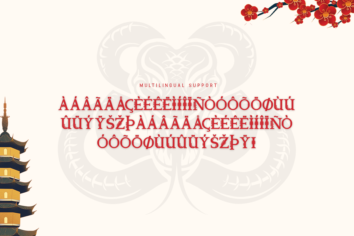 Snake Wood A Modern Serif Chinese Font - Image 6