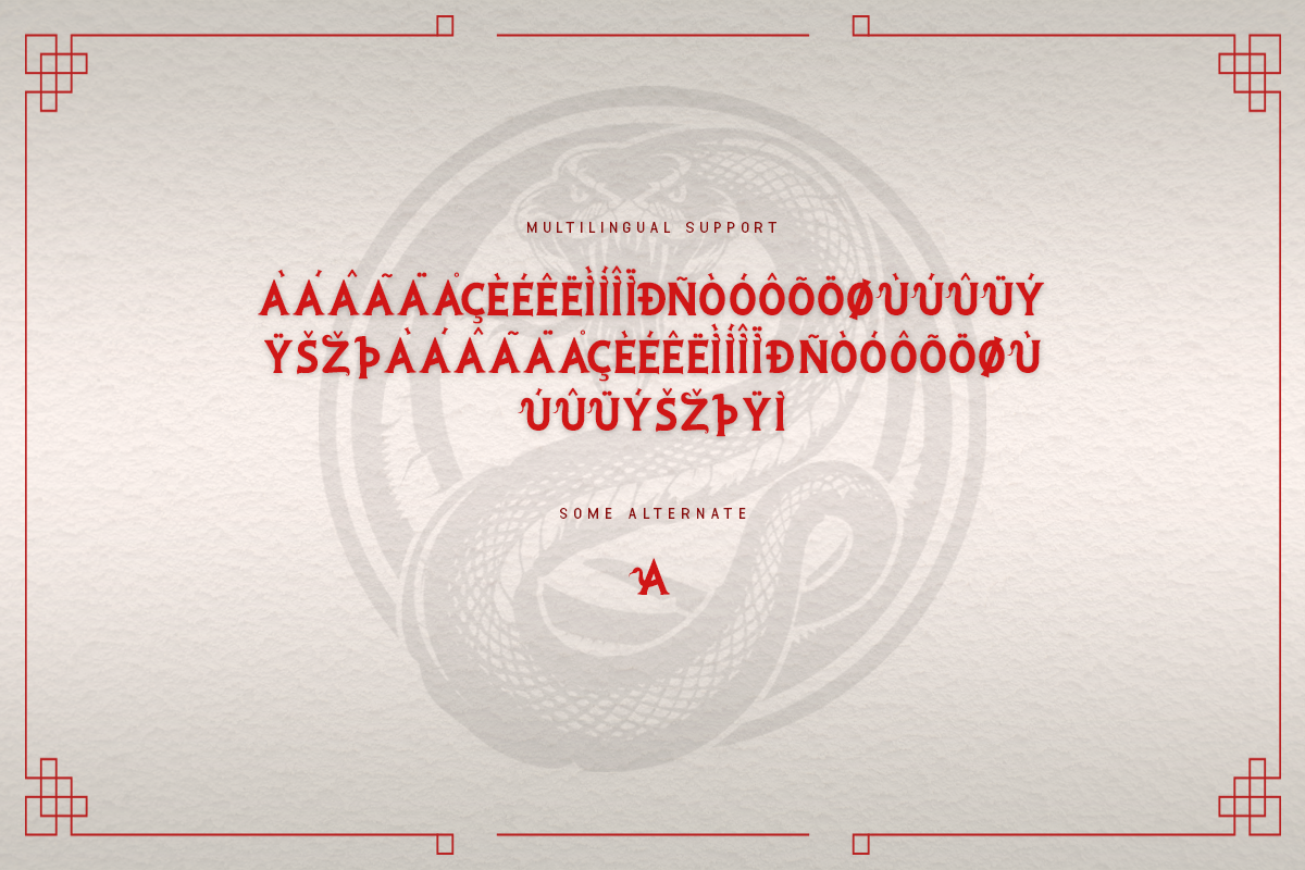 White Snake A Modern Serif Chinese Font - Image 6