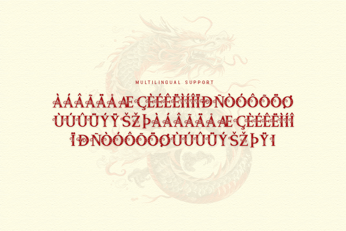 Chinese Dragon A Modern Serif Chinese Font - Image 6