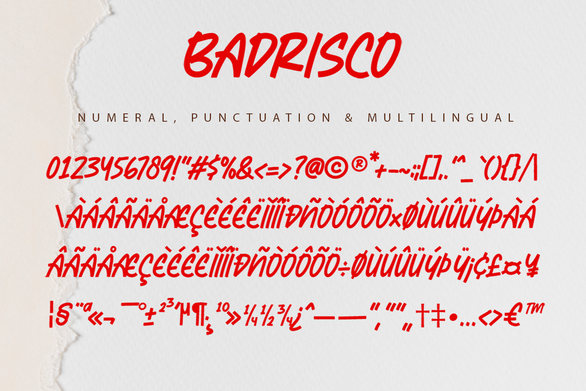 Badrisco A Modern Display Font - Image 7