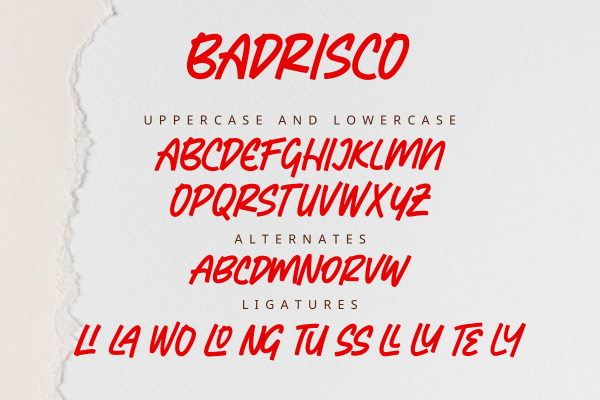Badrisco A Modern Display Font - Image 6