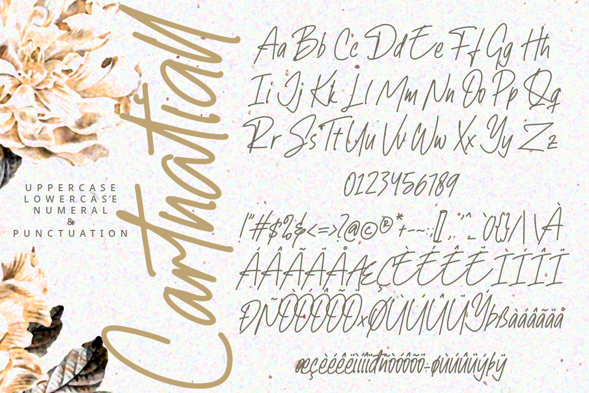Cartnatiall A Modern Handwritten Font - Image 7