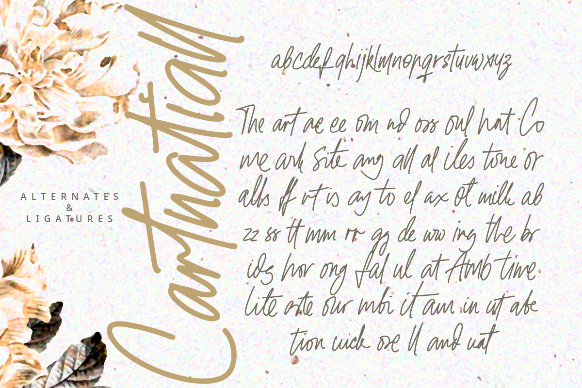 Cartnatiall A Modern Handwritten Font - Image 8