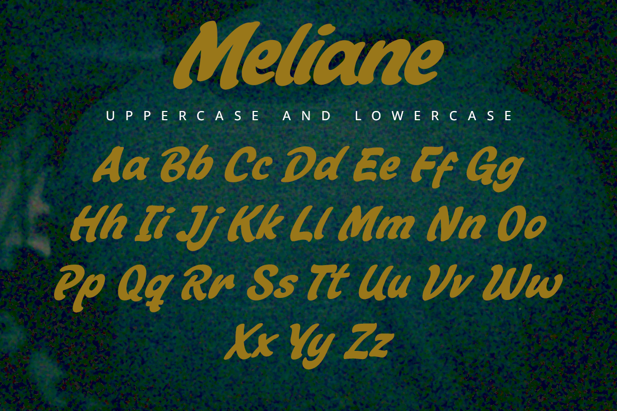 Meliane A Modern Display Font - Image 6