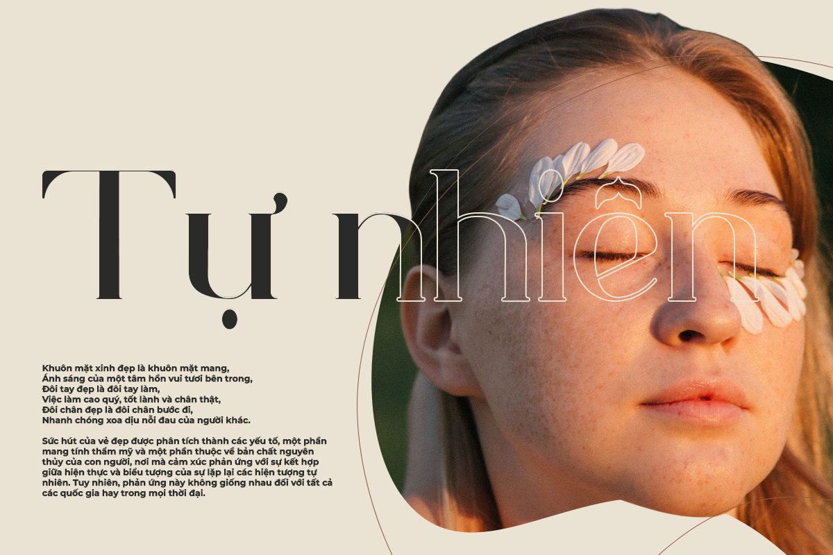 Alumina A Modern Classy Serif Font - Image 3