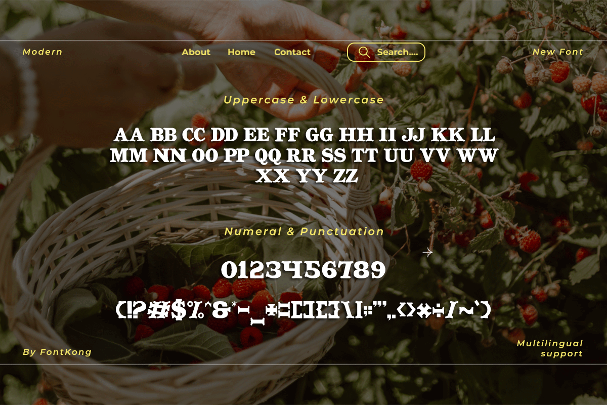 Luxeira A Modern Classy Serif Font - Image 5