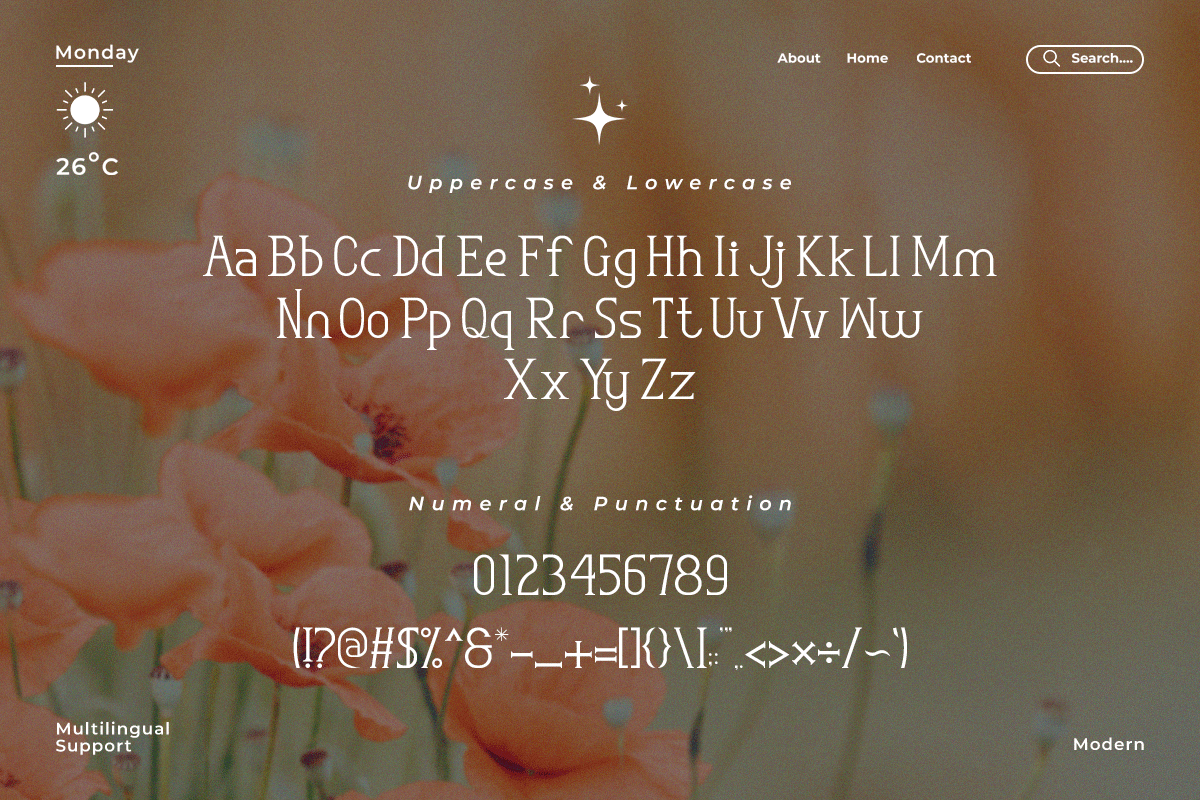 Rosemary A Modern Classy Serif Font - Image 5