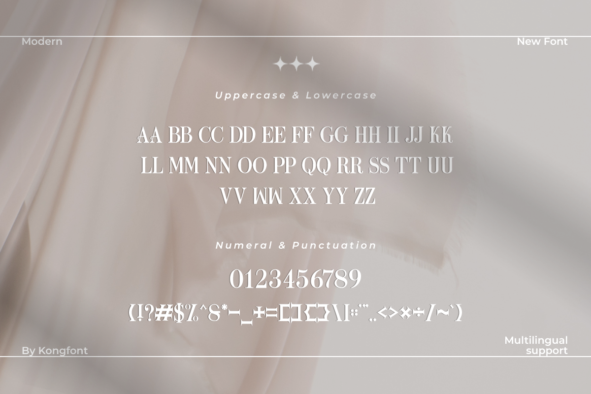 Galleria A Modern Classy Serif Font - Image 5