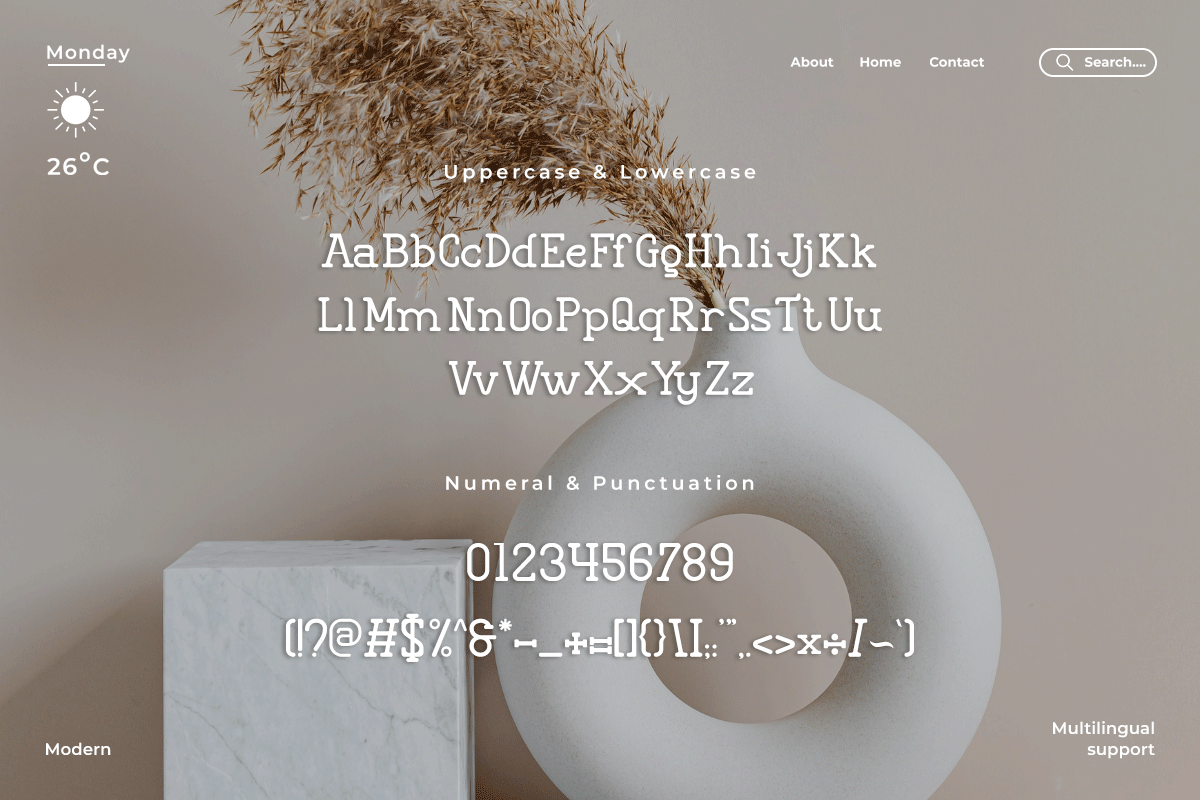 Thrissca A Modern Classy Serif Font - Image 5