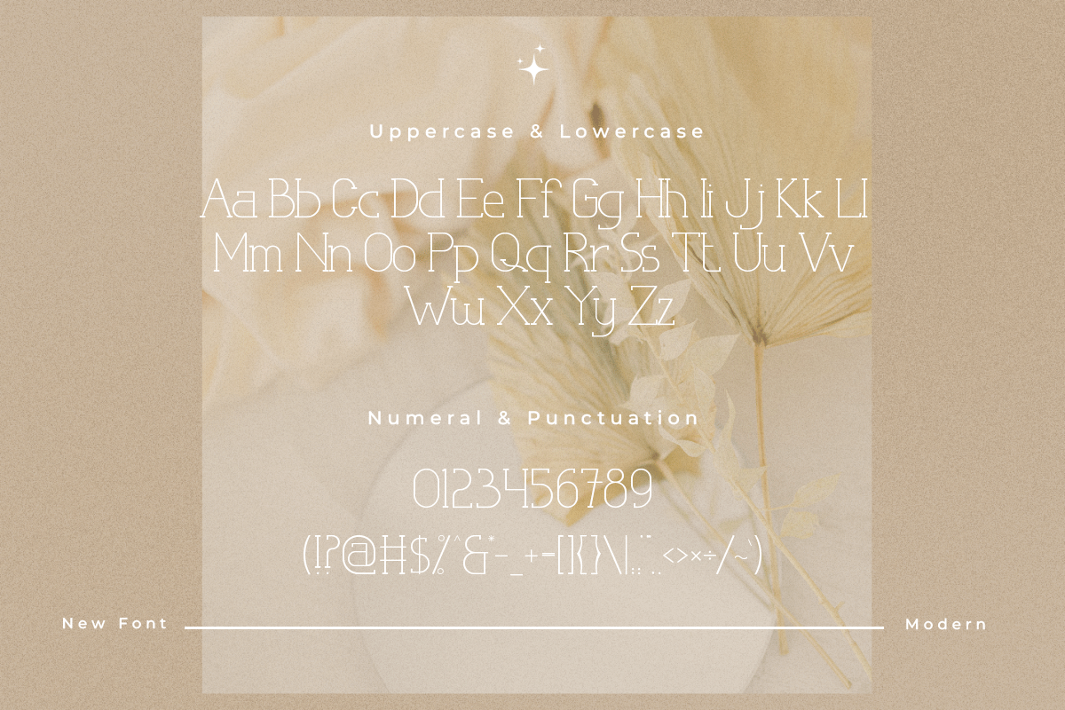 Latisha A Modern Classy Serif Font - Image 5