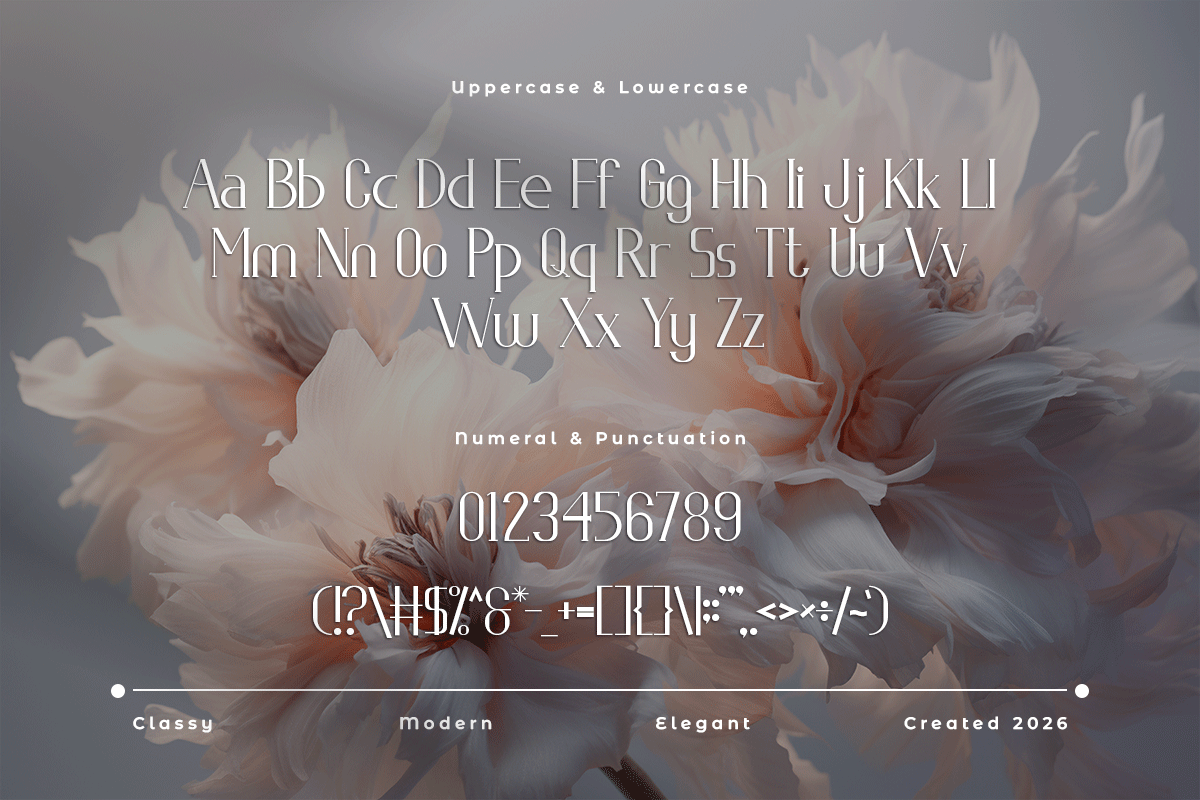 Lyodra A Modern Classy Serif Font - Image 5