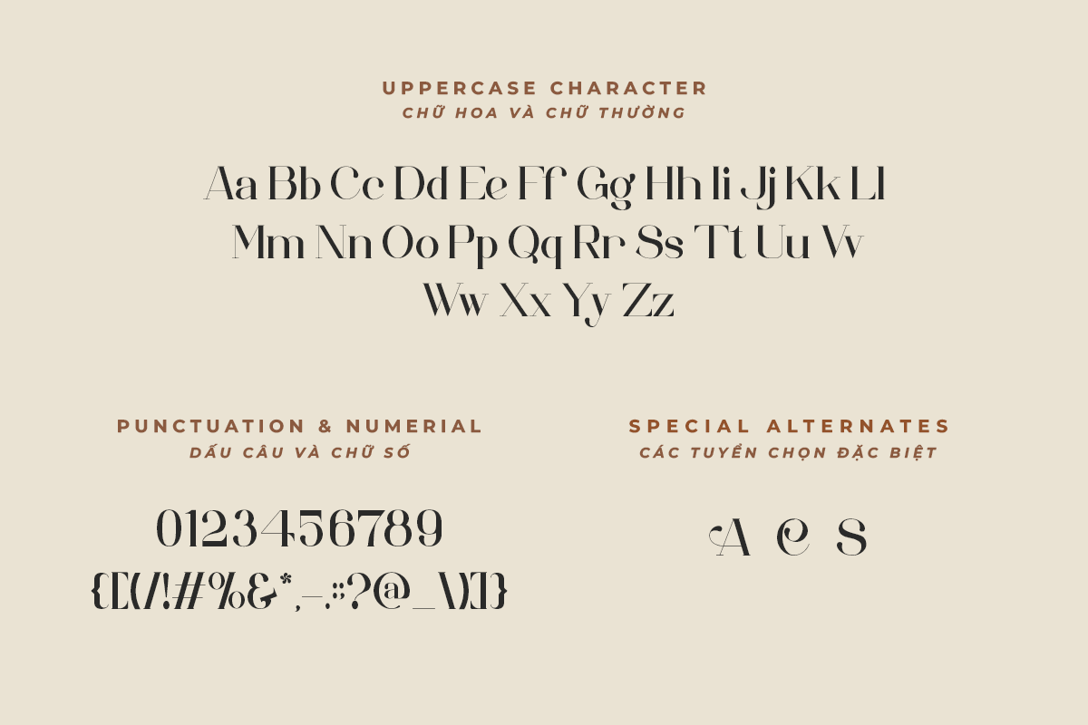 Alumina A Modern Classy Serif Font - Image 5