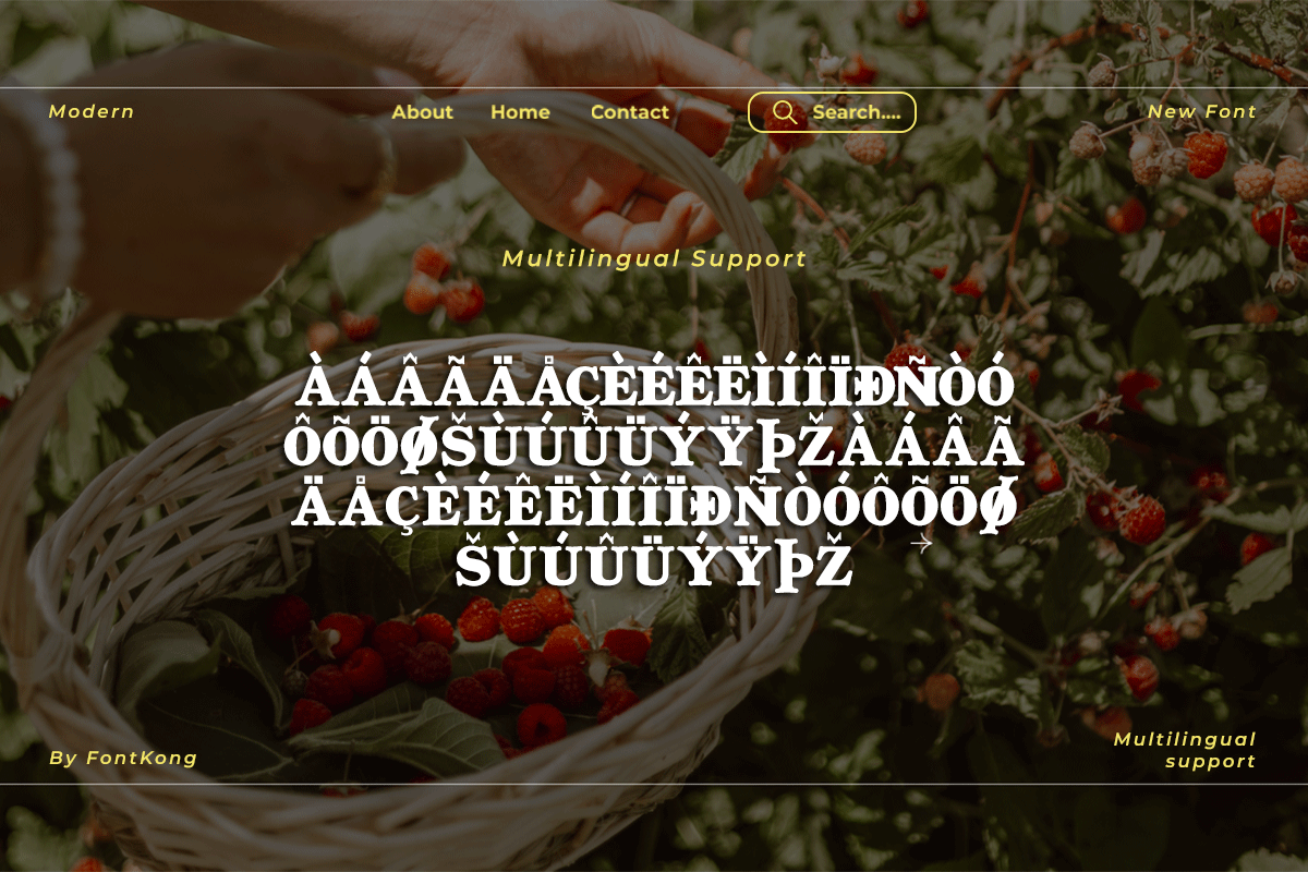 Luxeira A Modern Classy Serif Font - Image 6