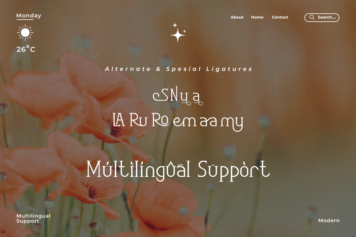 Rosemary A Modern Classy Serif Font - Image 6