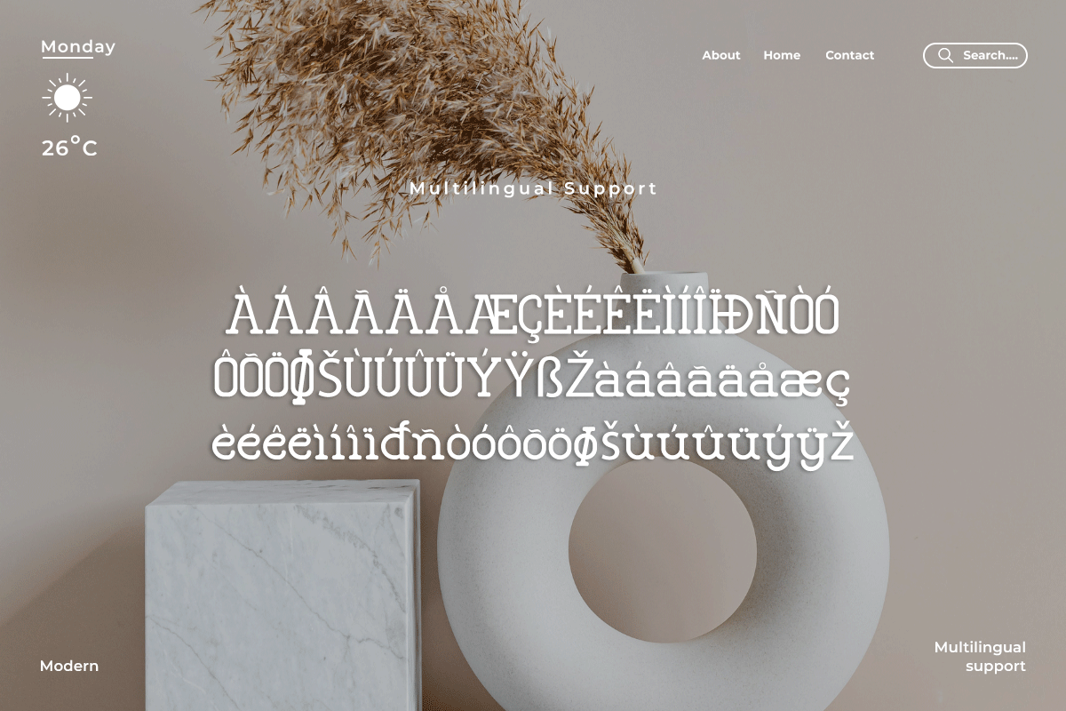 Thrissca A Modern Classy Serif Font - Image 6