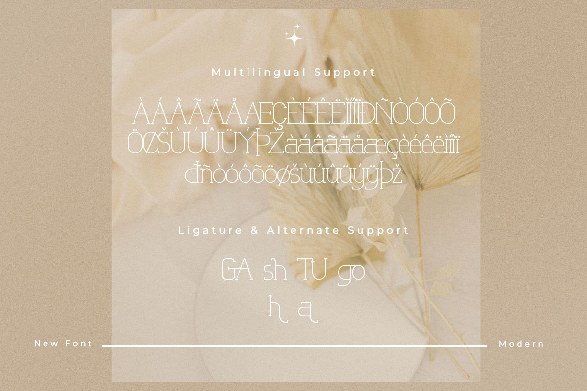 Latisha A Modern Classy Serif Font - Image 6