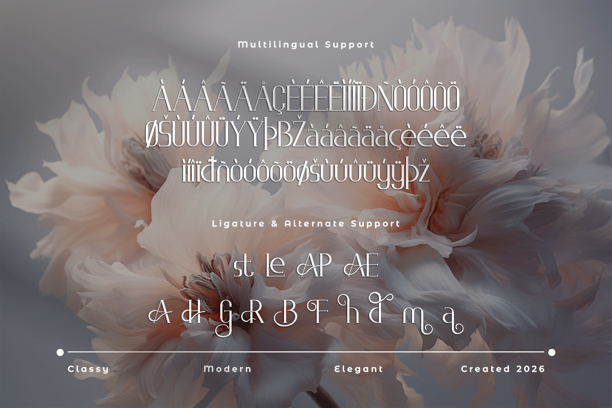 Lyodra A Modern Classy Serif Font - Image 6