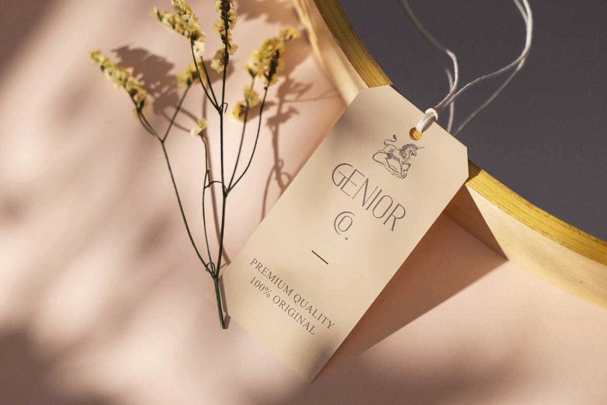 Madeline A Modern Classy Serif Font - Image 3