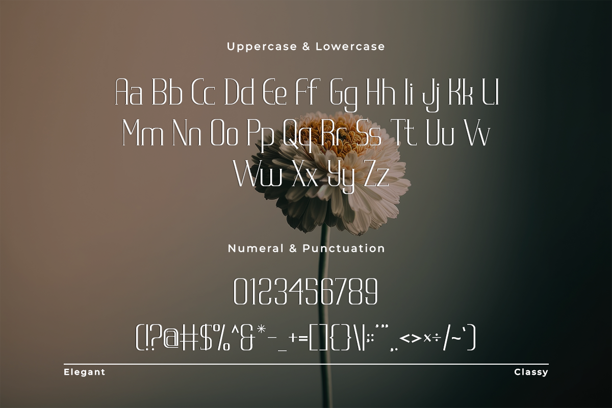 Veronica A Modern Classy Serif Font - Image 5