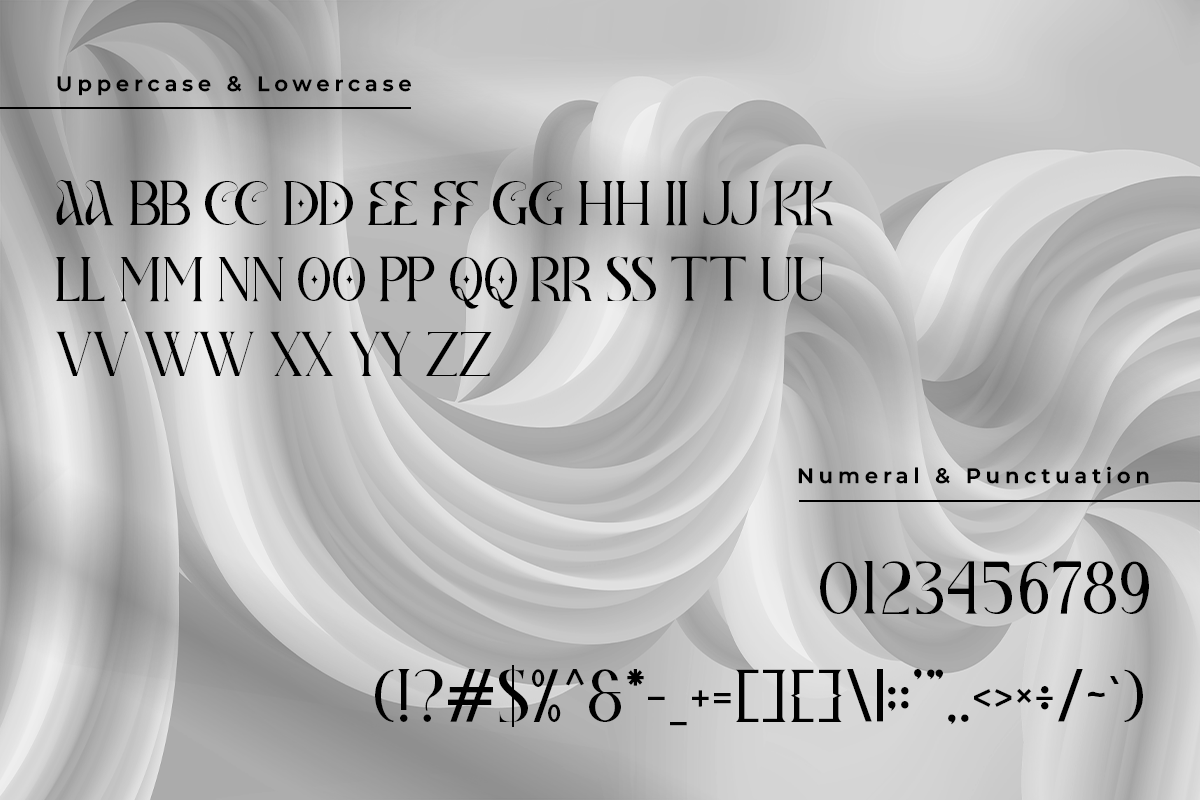 Voresca A Modern Unique Serif Font - Image 5