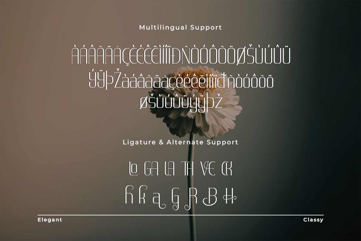 Veronica A Modern Classy Serif Font - Image 6