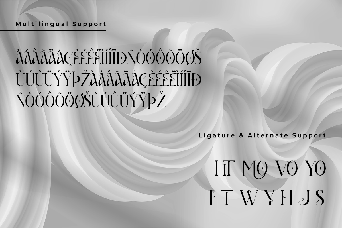 Voresca A Modern Unique Serif Font - Image 6