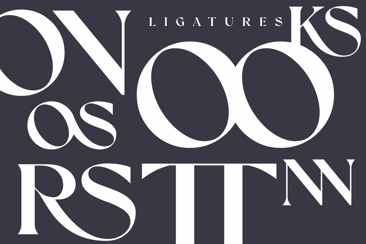 Forgest A Modern Classy Serif Font - Image 8