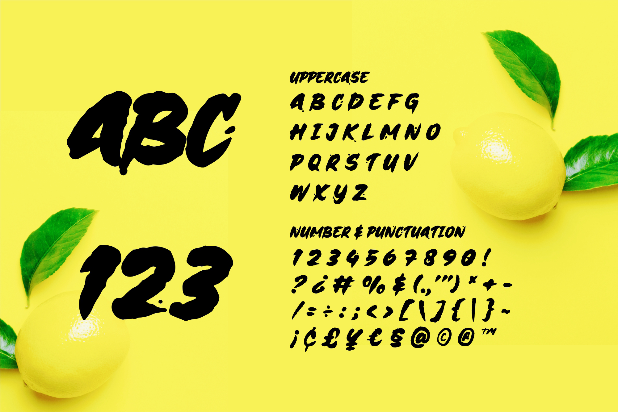 Scribles A Modern Rough Brush Font - Image 8