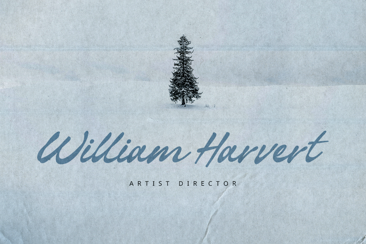 Sellinaty A Modern Handwritten Script Font - Image 3