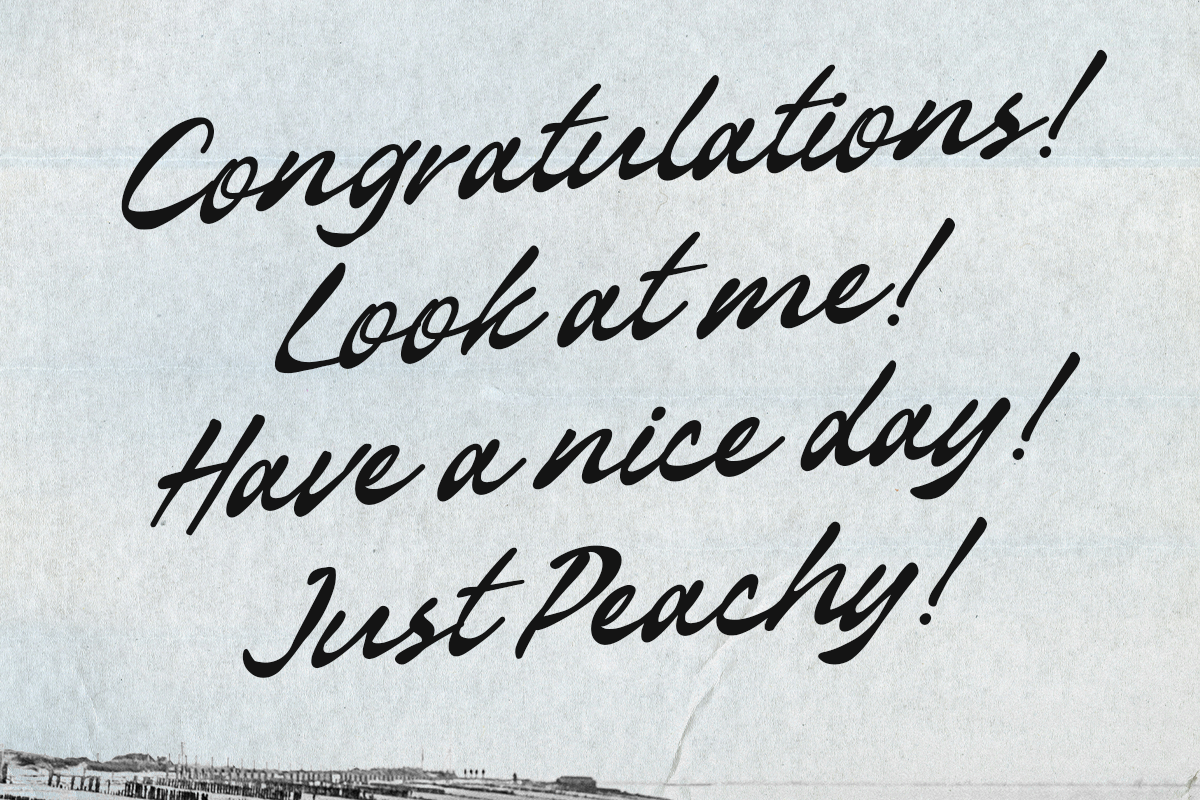 Sellinaty A Modern Handwritten Script Font - Image 4