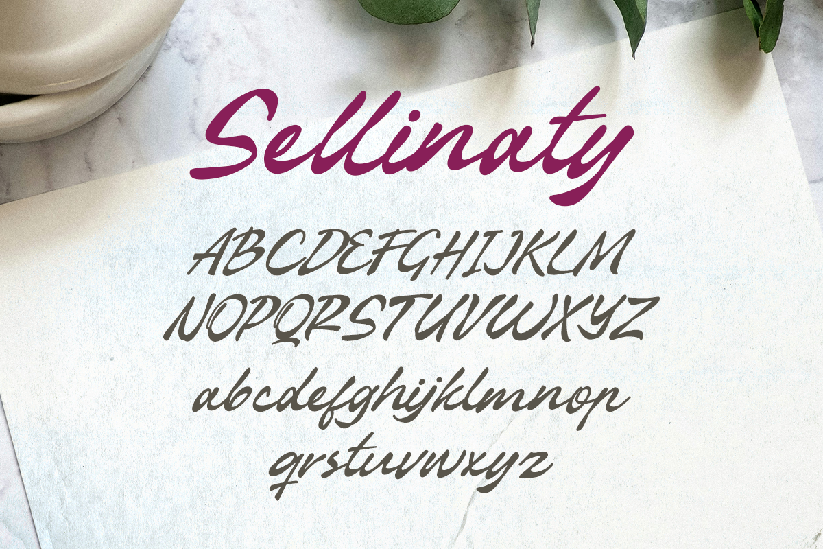 Sellinaty A Modern Handwritten Script Font - Image 7