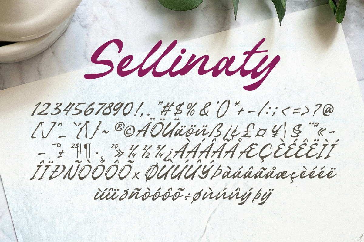 Sellinaty A Modern Handwritten Script Font - Image 8