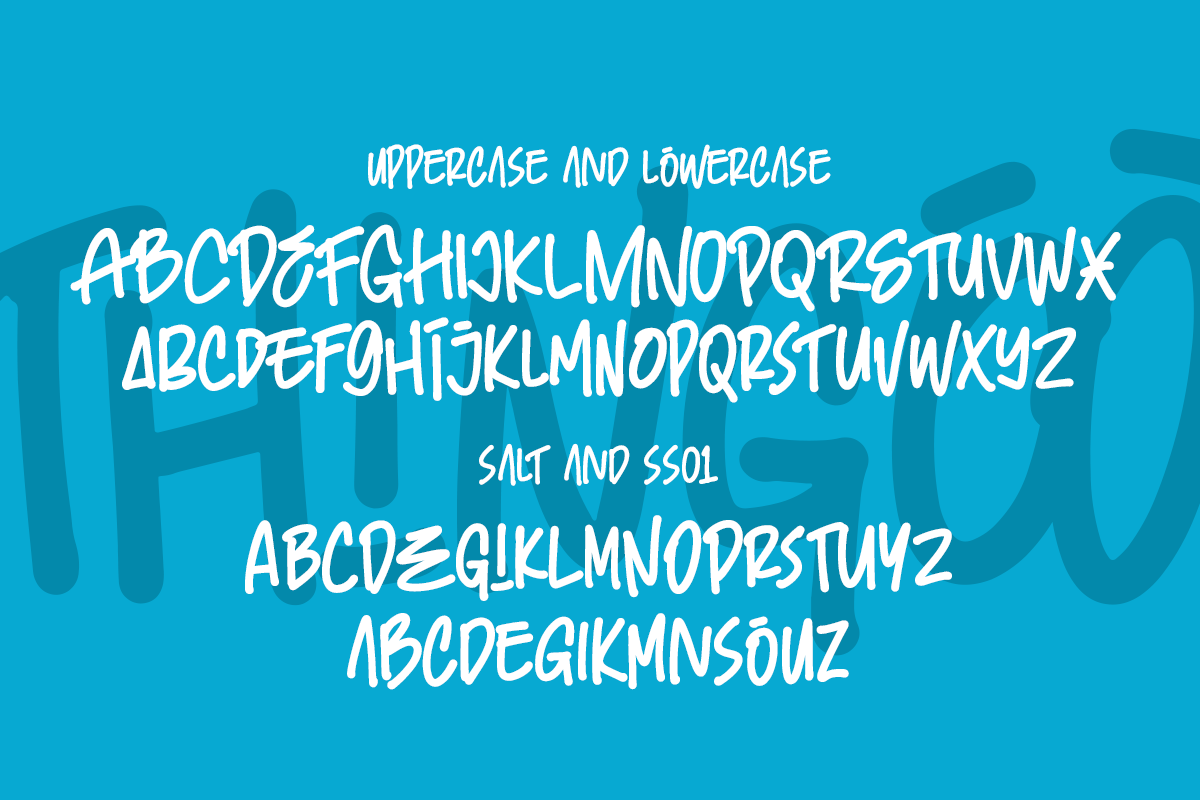 Thingoo A Modern Handwritten Font - Image 7