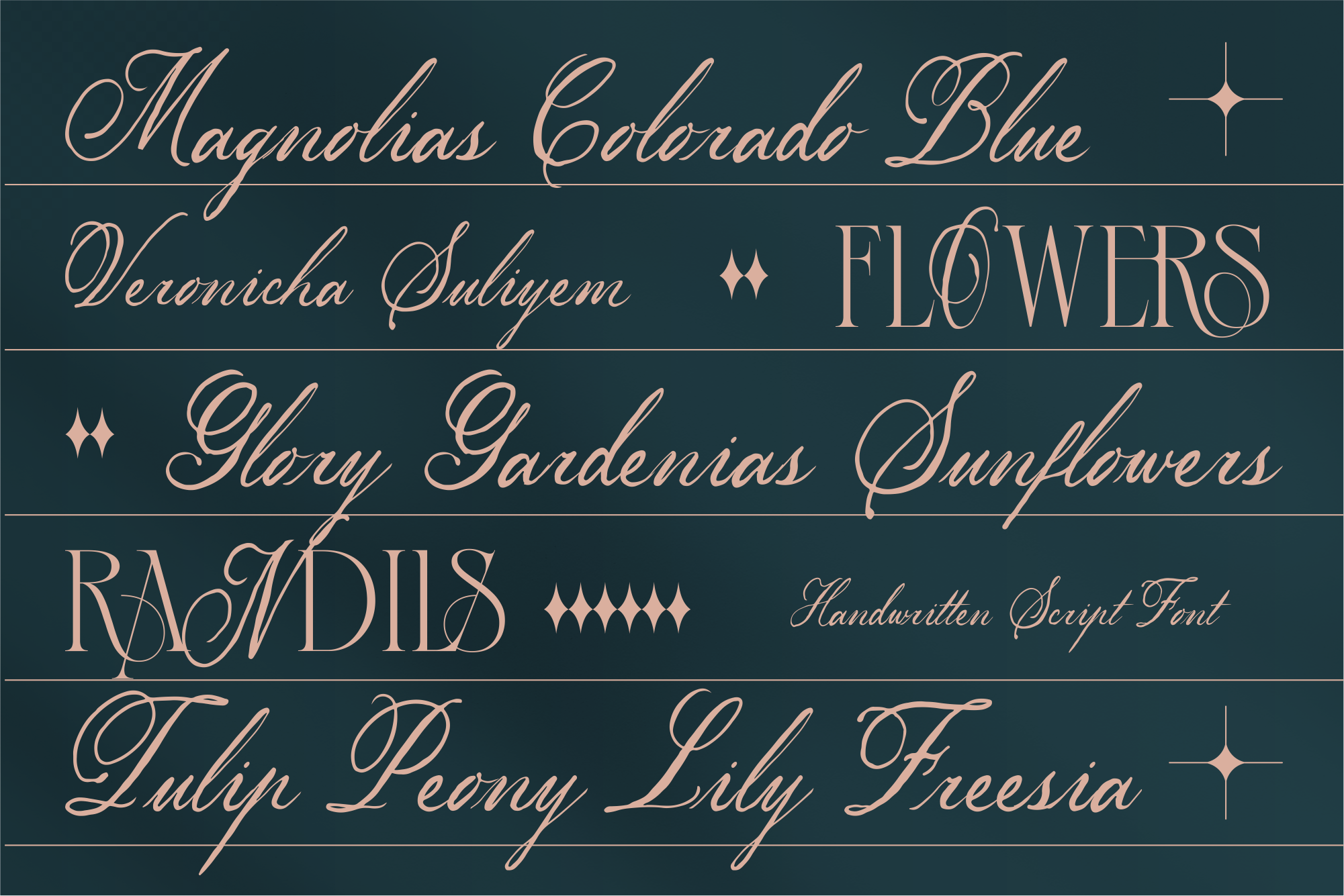 Veronicha Suliyem A Modern Script Signature Font - Image 5