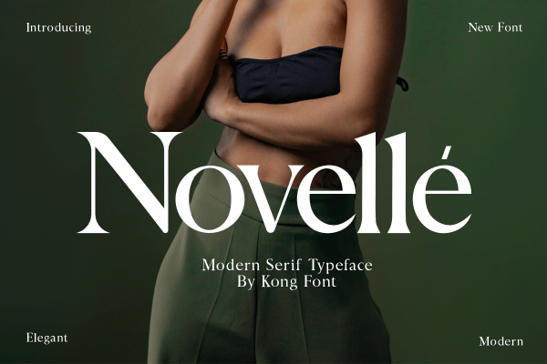 Novelle A Modern Classy Serif Font - Image 2