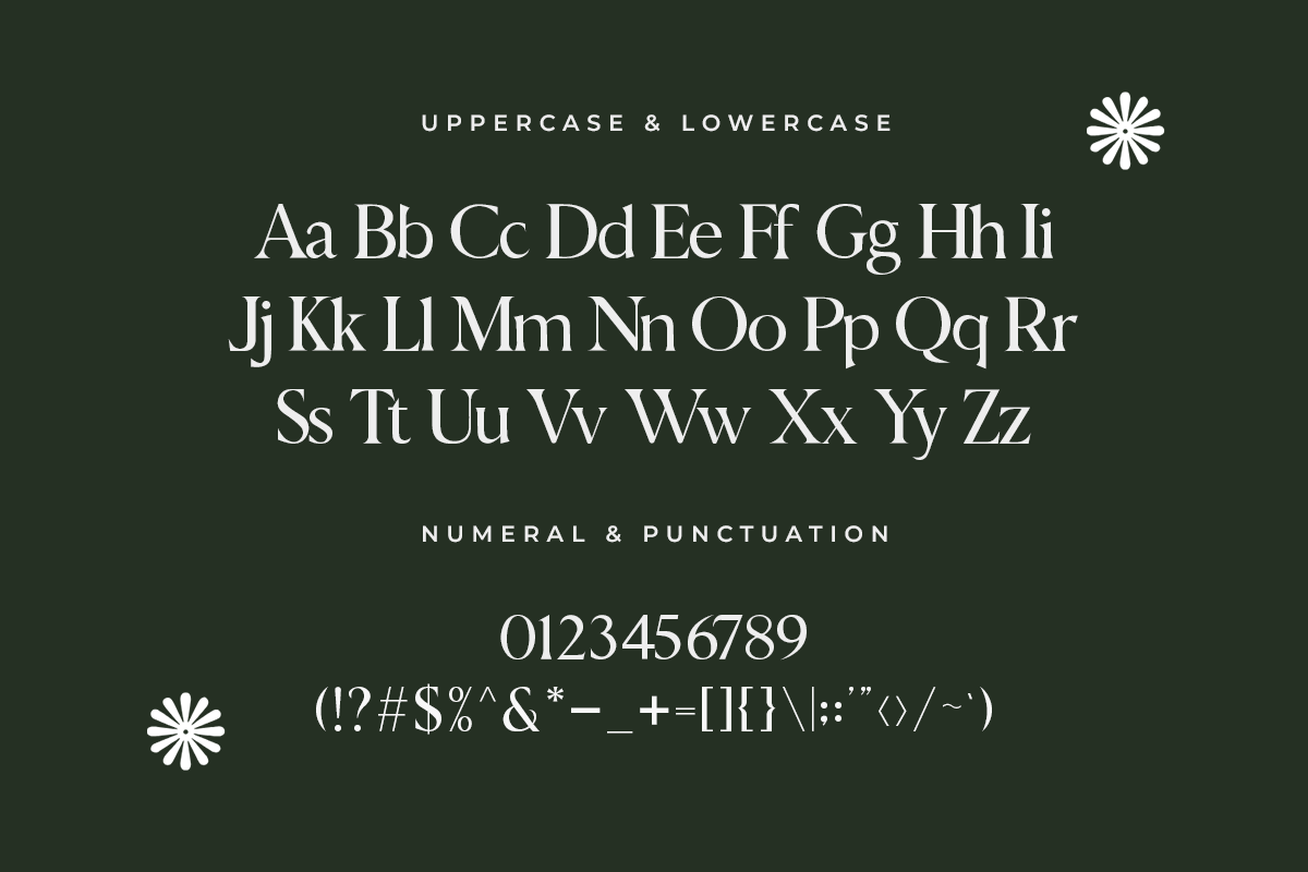 Novelle A Modern Classy Serif Font - Image 5