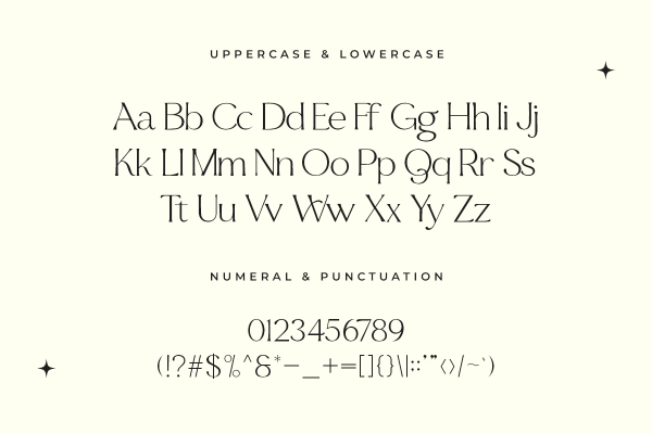 Qukies A Modern Classy Serif Font - Image 5