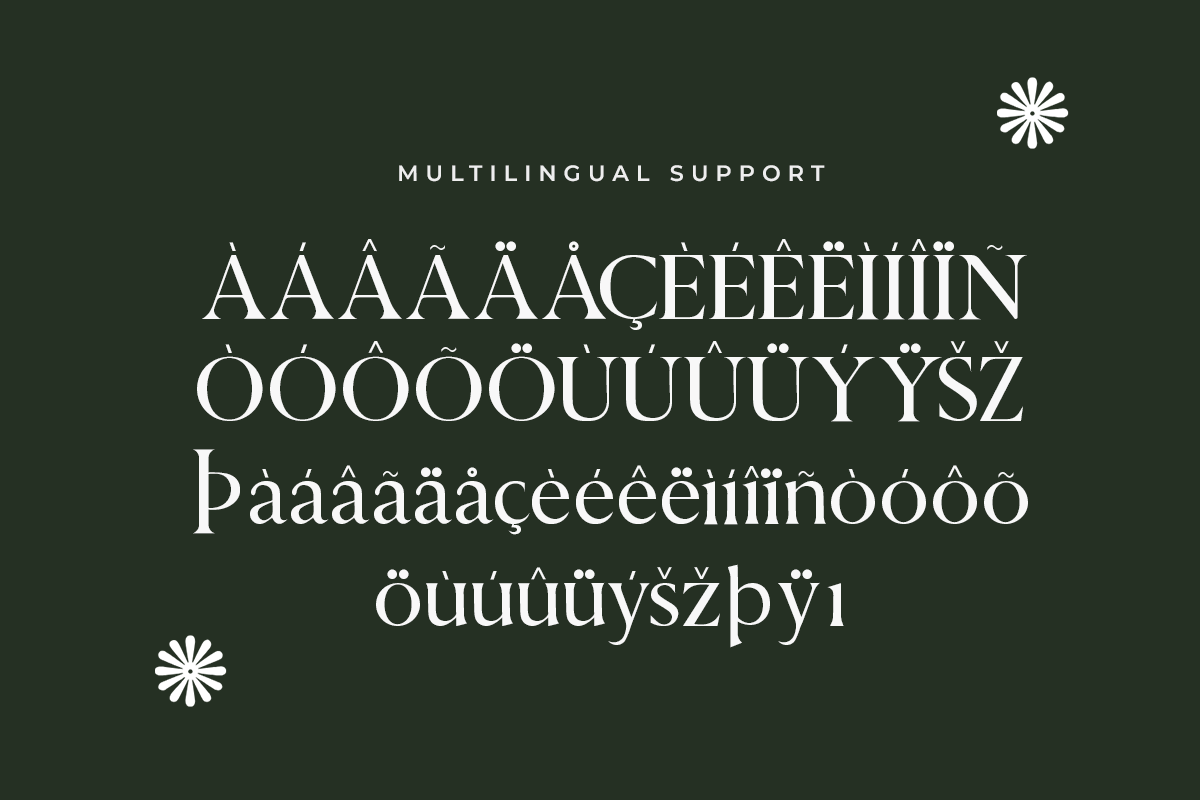 Novelle A Modern Classy Serif Font - Image 6