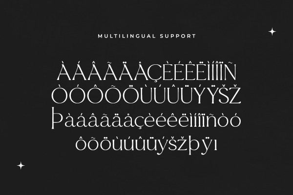 Qukies A Modern Classy Serif Font - Image 6