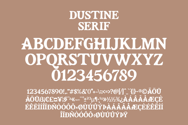 Dustine A Modern Classy Serif Font Duo - Image 6