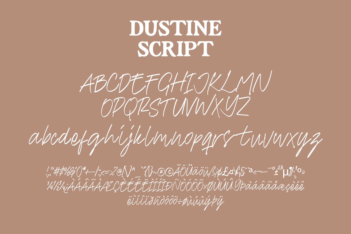 Dustine A Modern Classy Serif Font Duo - Image 7