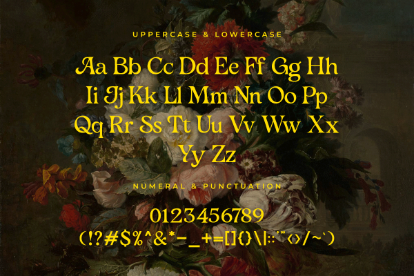 Amoretta A Modern Classy Serif Retro Font - Image 5