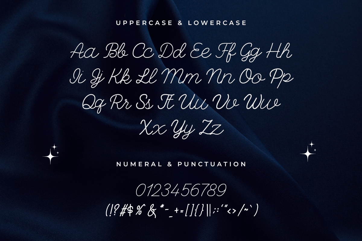 Delarose Modern Classy Script Font - Image 5