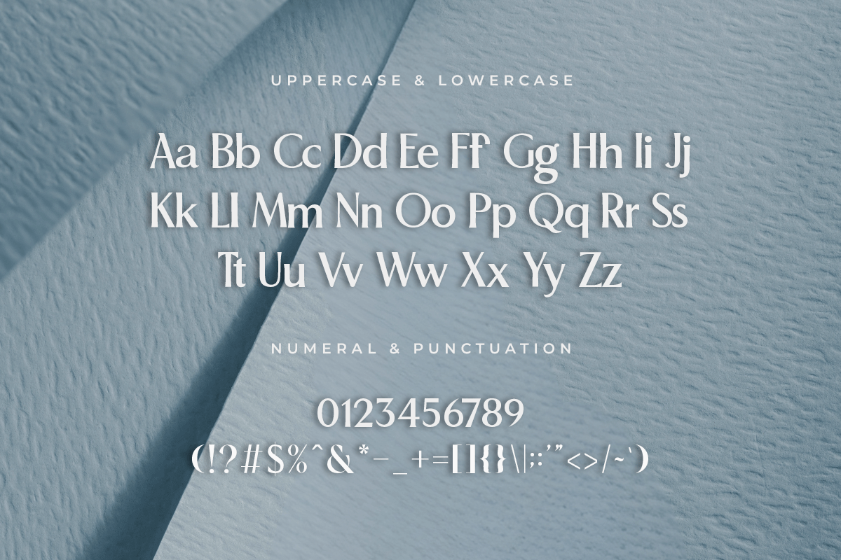 Sovence A Modern Classy Serif Font - Image 5