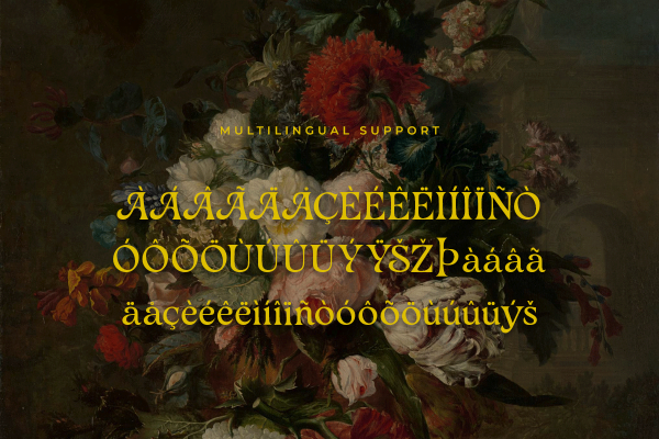 Amoretta A Modern Classy Serif Retro Font - Image 6